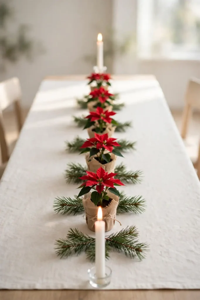 Poinsettia Pot Rows