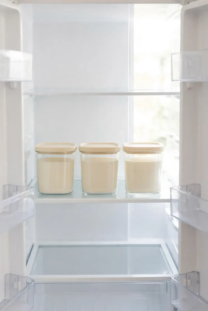 Simple fridge organization aesthetic ideas