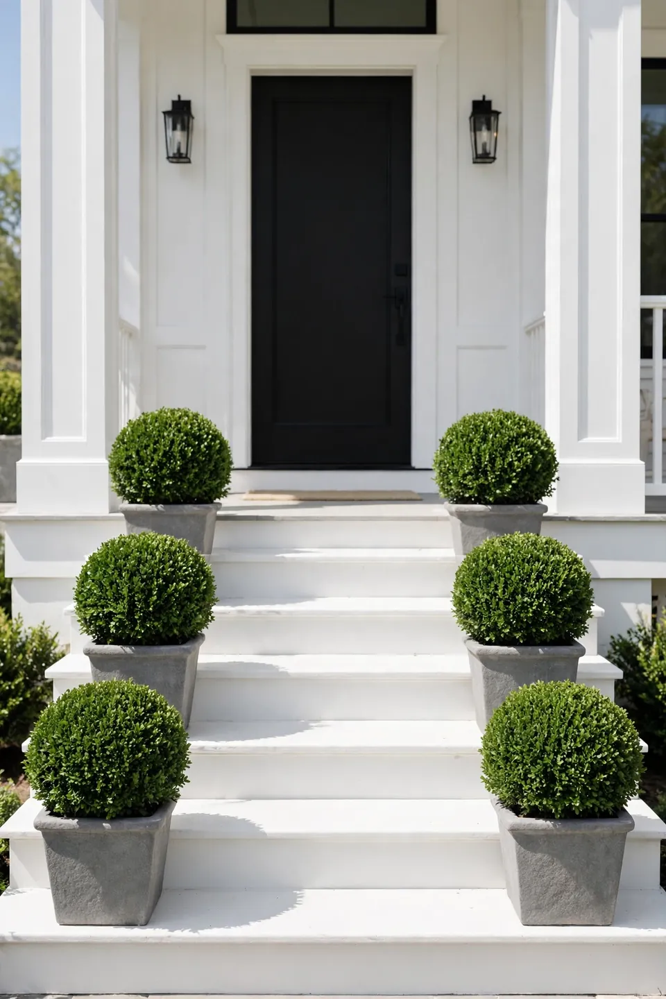 Potted Boxwood Symmetry