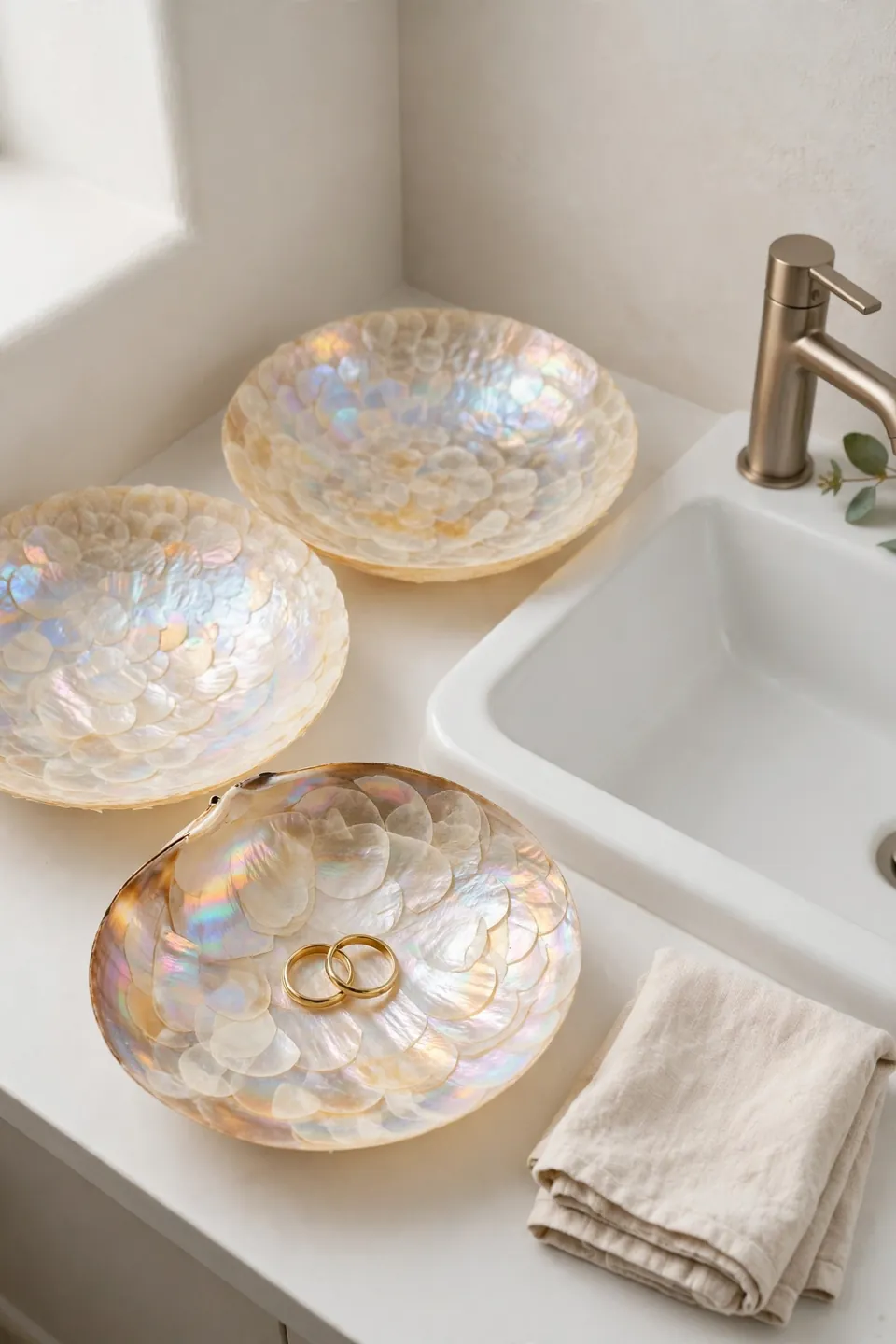 Shell Accent Dishes
