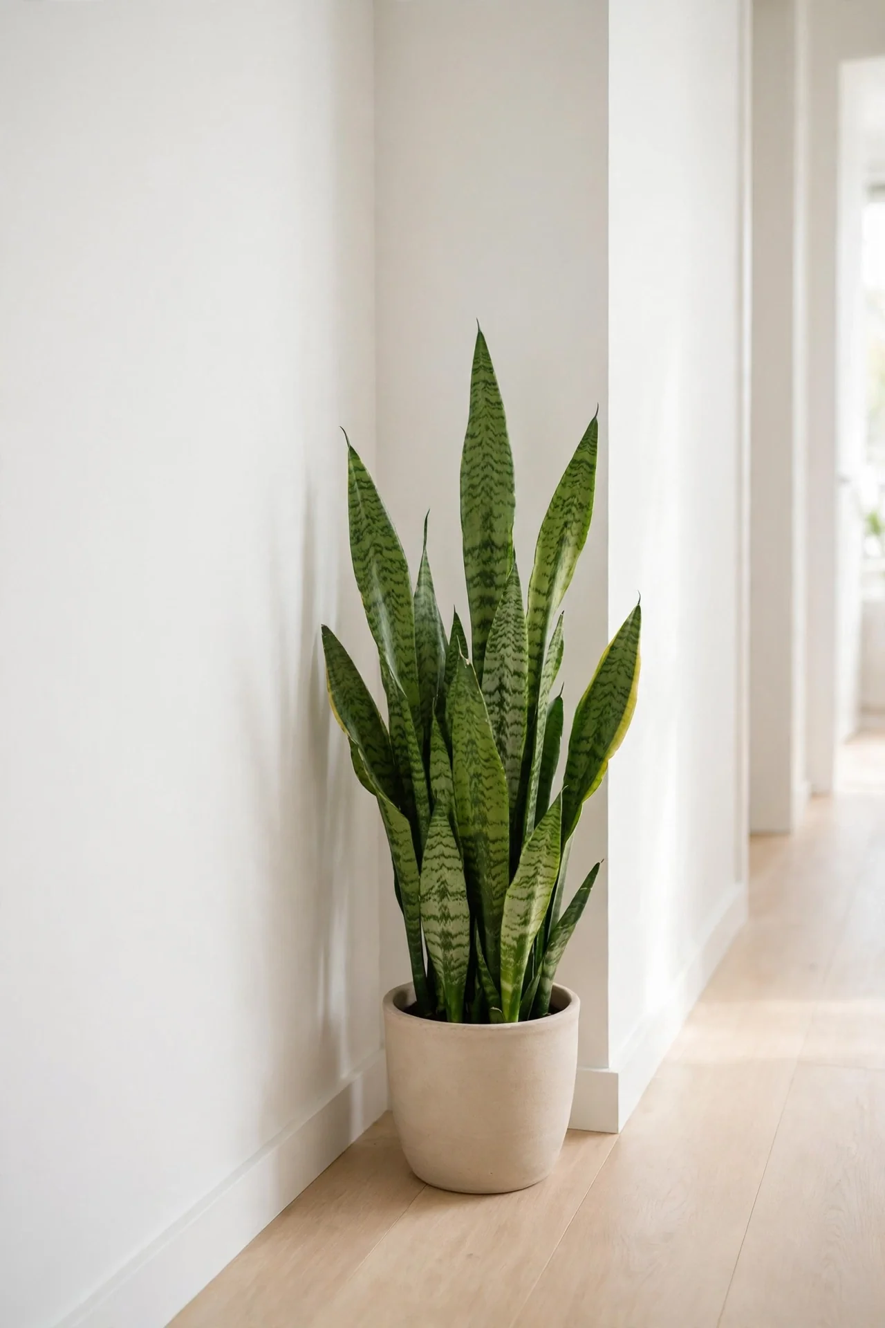 Botanical Corner Pot