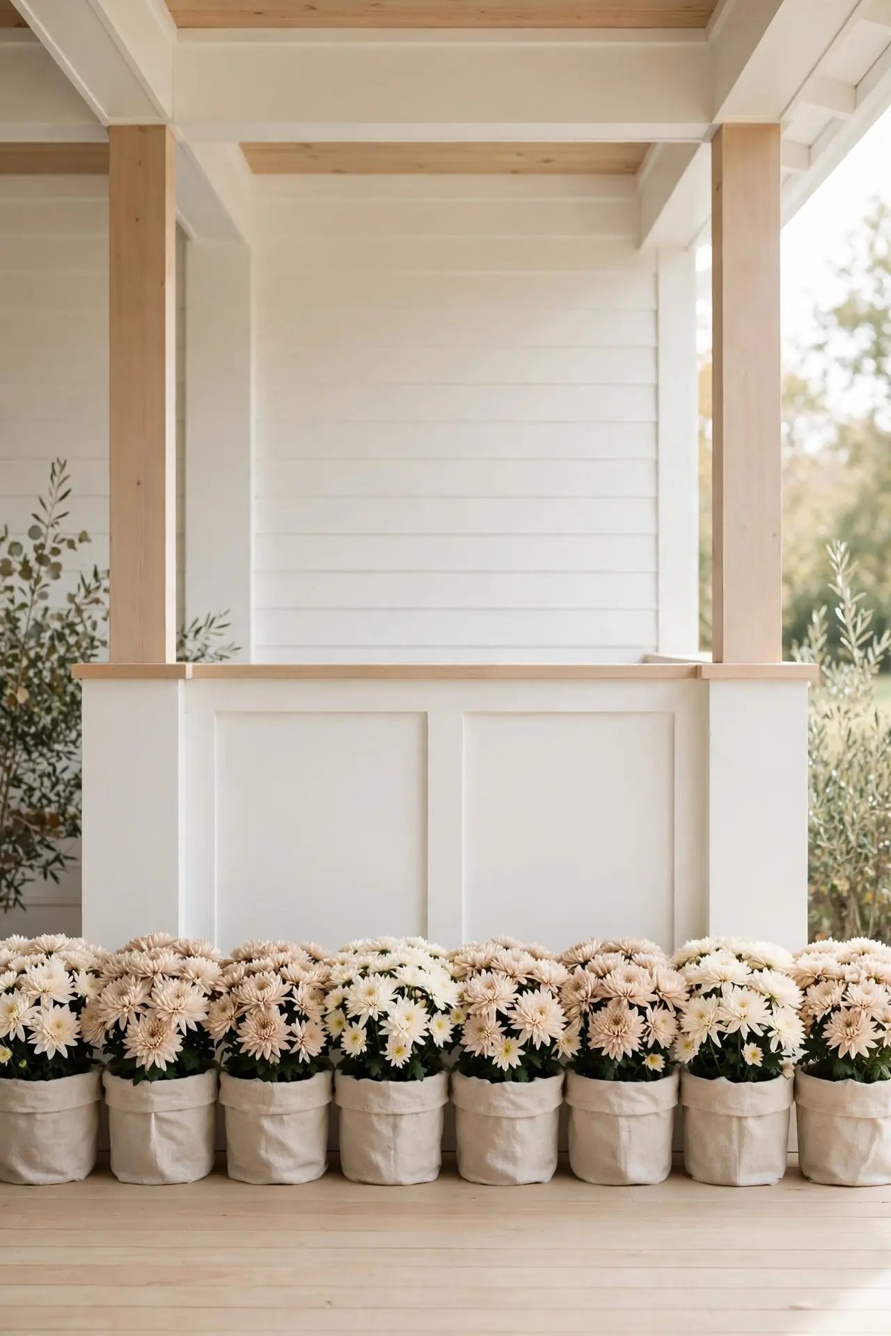 Beige Mum Rows