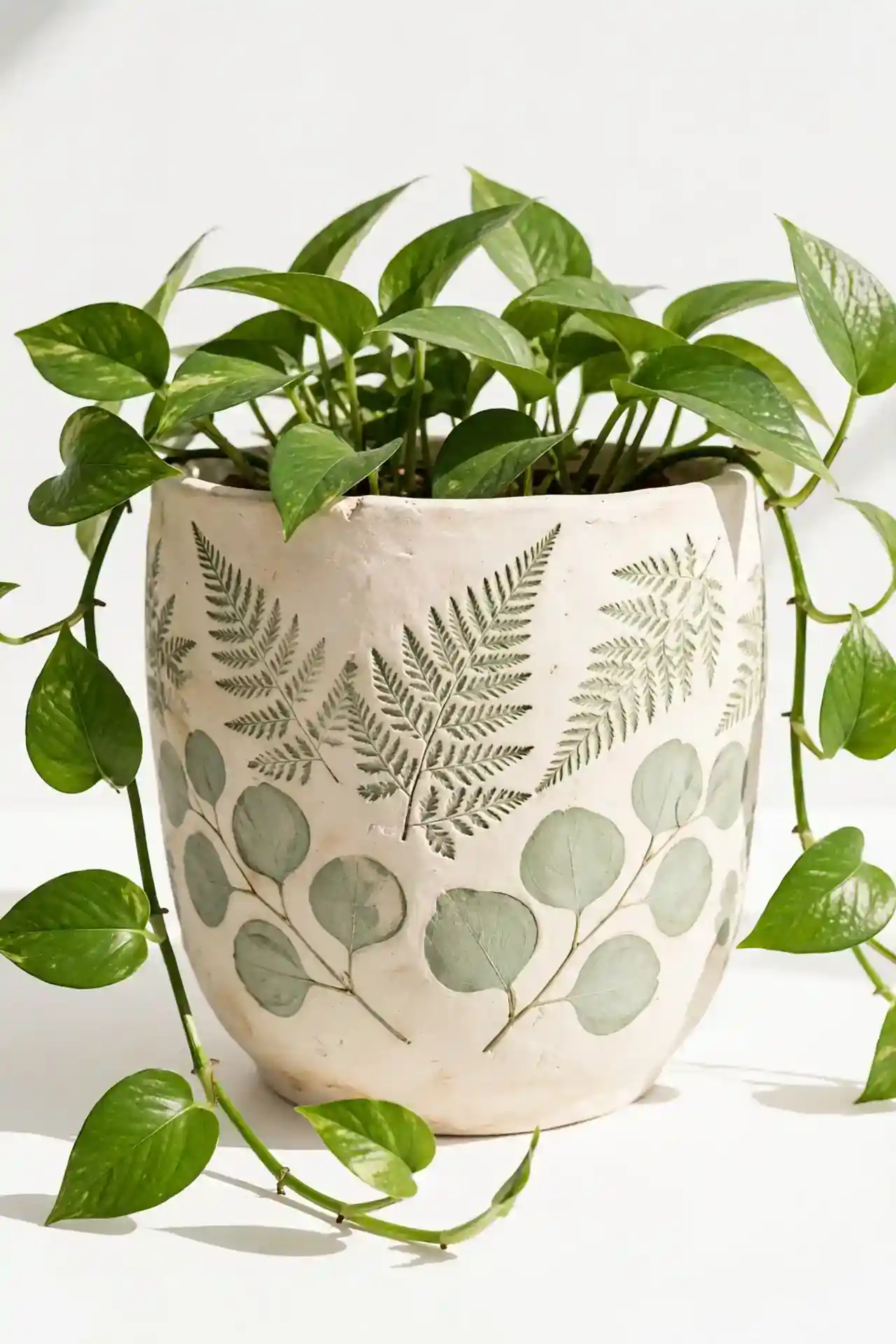 Botanical Leaf Prints