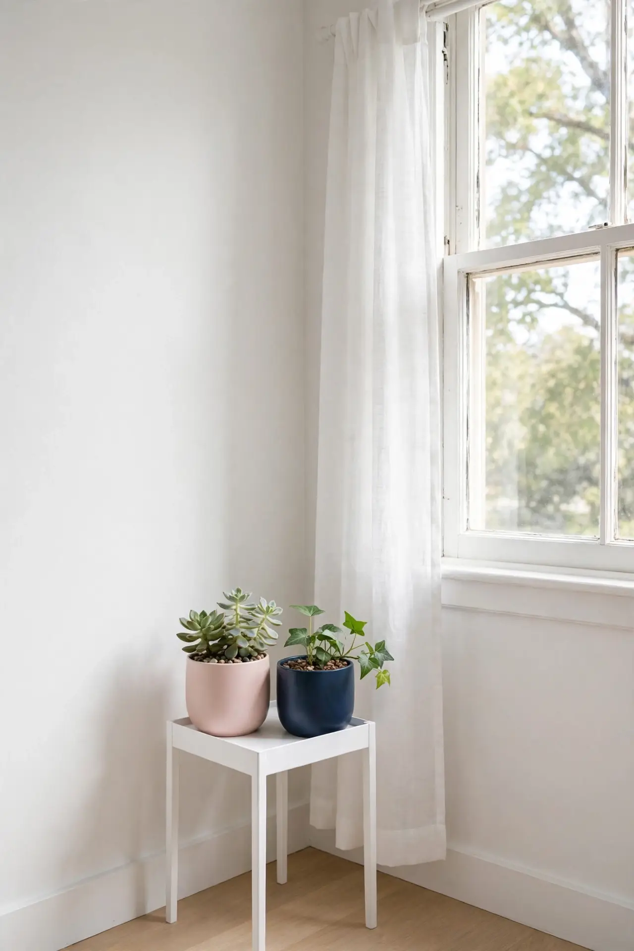 Plant Corner Pair