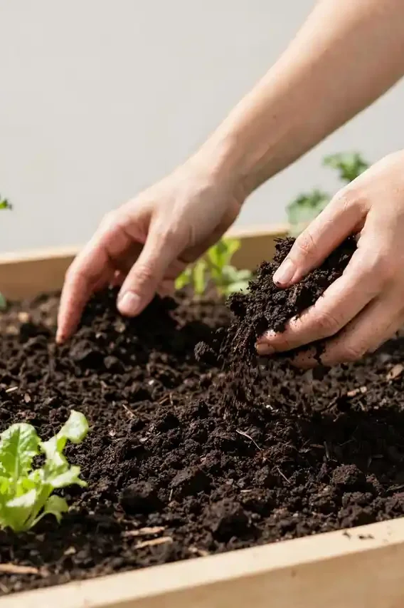 Raised Bed Soil